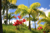 Landscapes