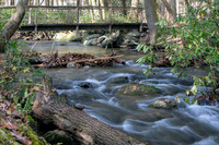 Smokey Mountain National Park